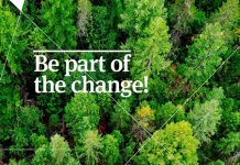 Flooring with a green heart