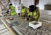 The future is coming up roses