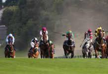 A Day at the Races – Hamilton Park Racecourse Wednesday 19 June 2024