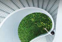 ‘Buggingham Pallets’ welcomes new insect arrivals