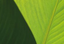 B.I.G. powers Belgian cushion vinyl production plant with green energy andcuts CO2 emission by more than 88%