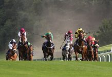Get ready for an unmissable day at Hamilton Park Racecourse!