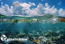 IVC Commercial uses Social Plastic for more responsible material consumption