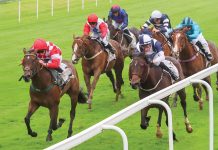 A Day at the Races – Hamilton and Leicester venues Book Now!