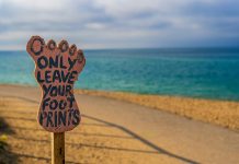 Regulations: Past and present