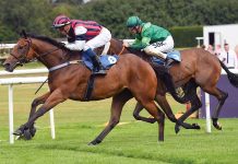 NEW – A day at the races England – don’t delay, book now!